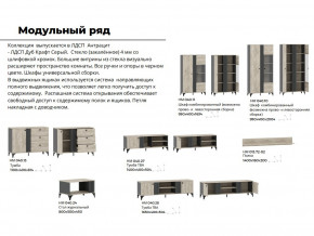 Гостиная Отис Дуб Крафт Серый/Антрацит в Берёзовском - beryozovskij.magazinmebel.ru | фото - изображение 5