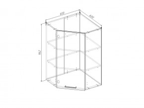 ВУ9 Модуль верхний Угловой МВУ9 в Берёзовском - beryozovskij.magazinmebel.ru | фото